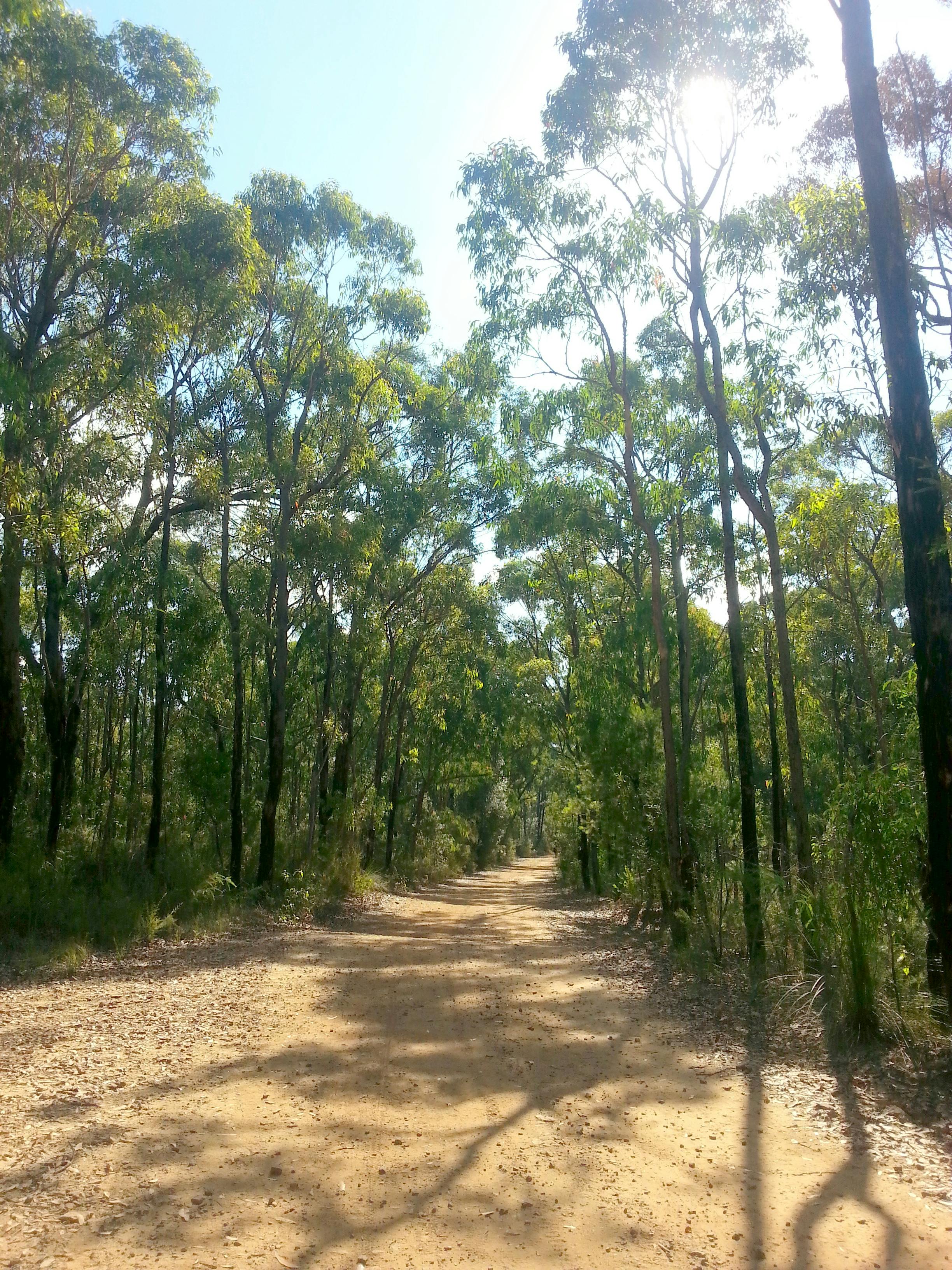 Being able to freely go for a walk or bike ride into the bush and experiencing the flora and fauna around the fire-trails.