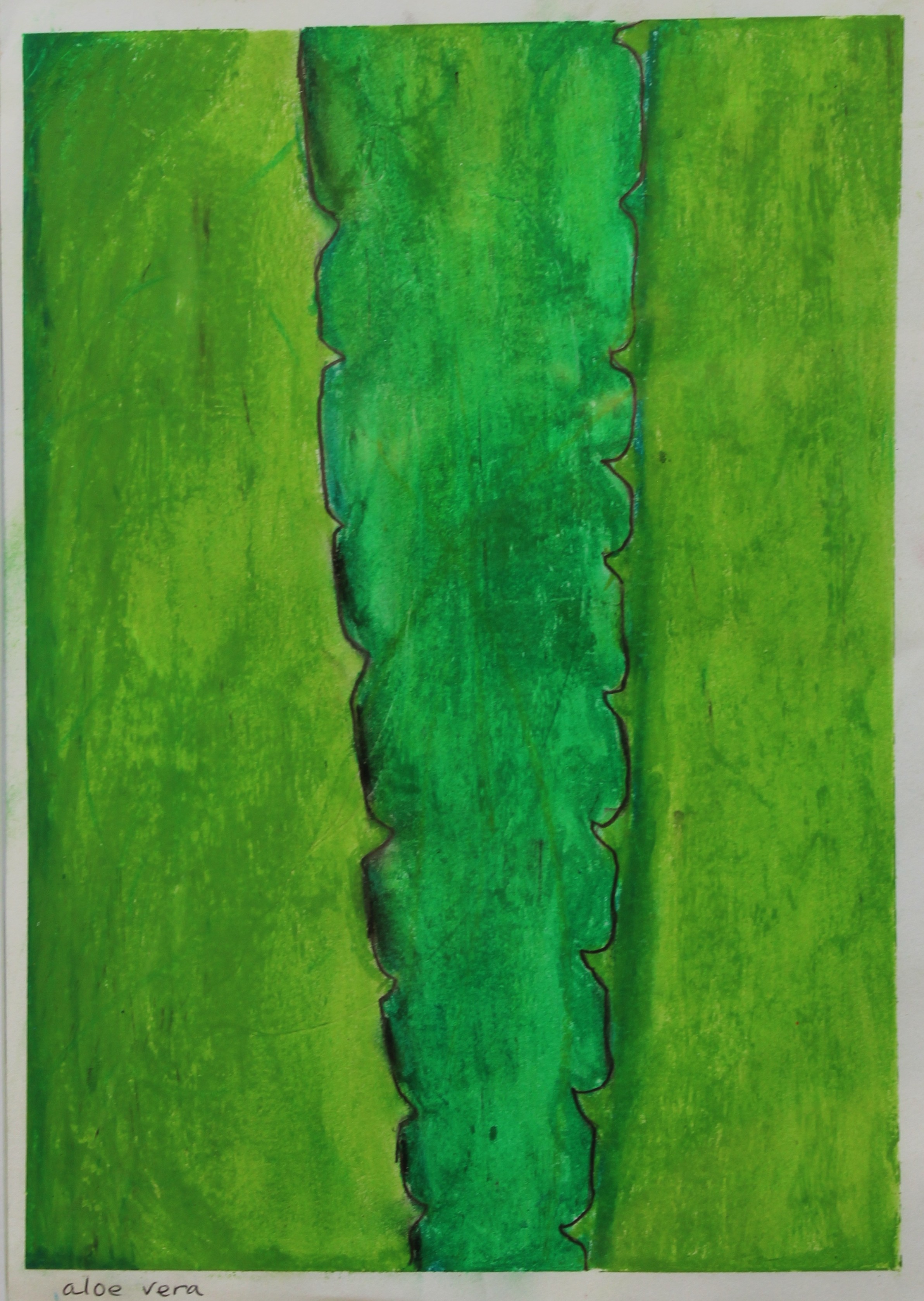 53 -Matthew King - Aloe Vera