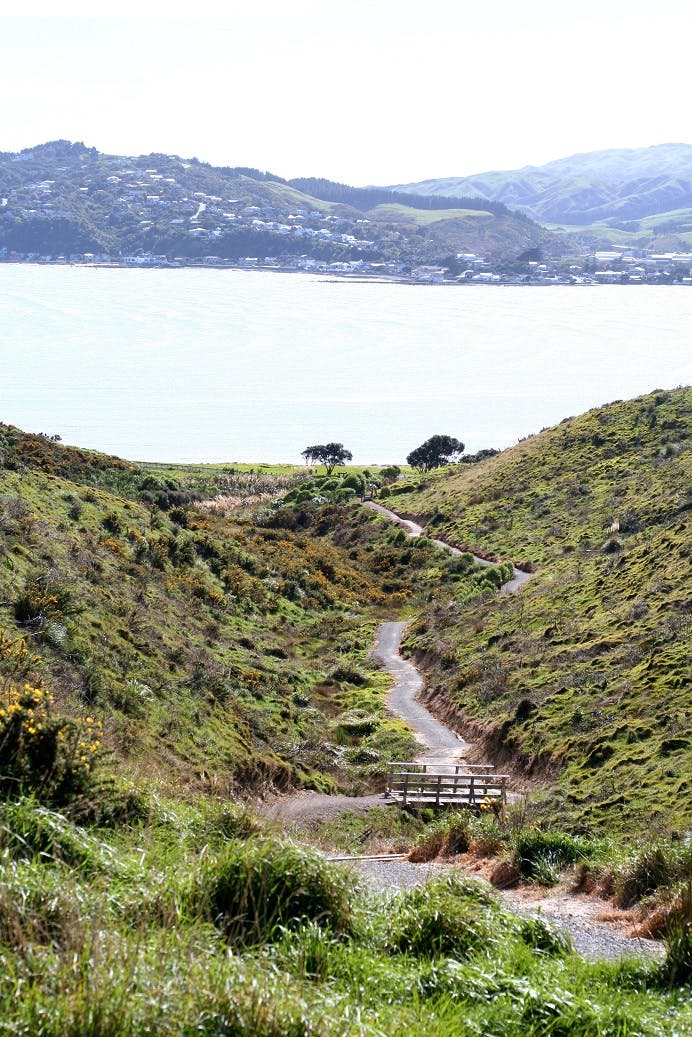 Inland track, looking north