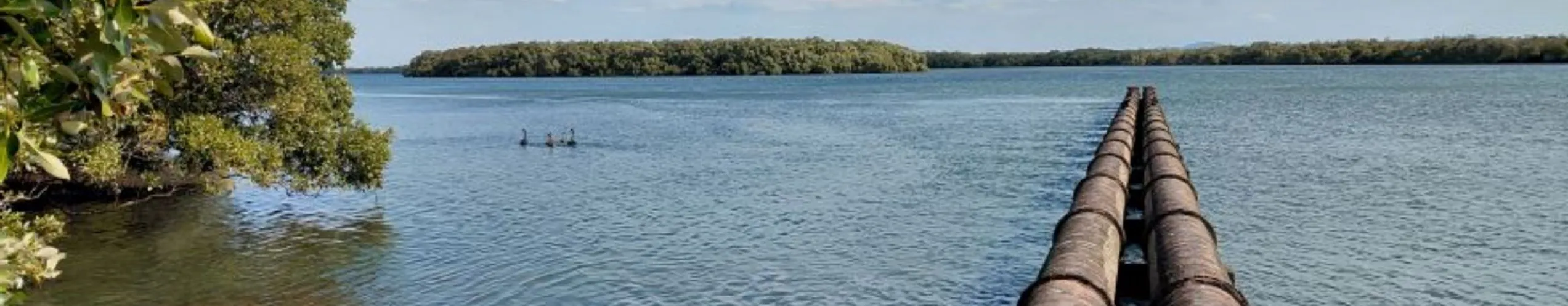 Redcliffe outfall pipe