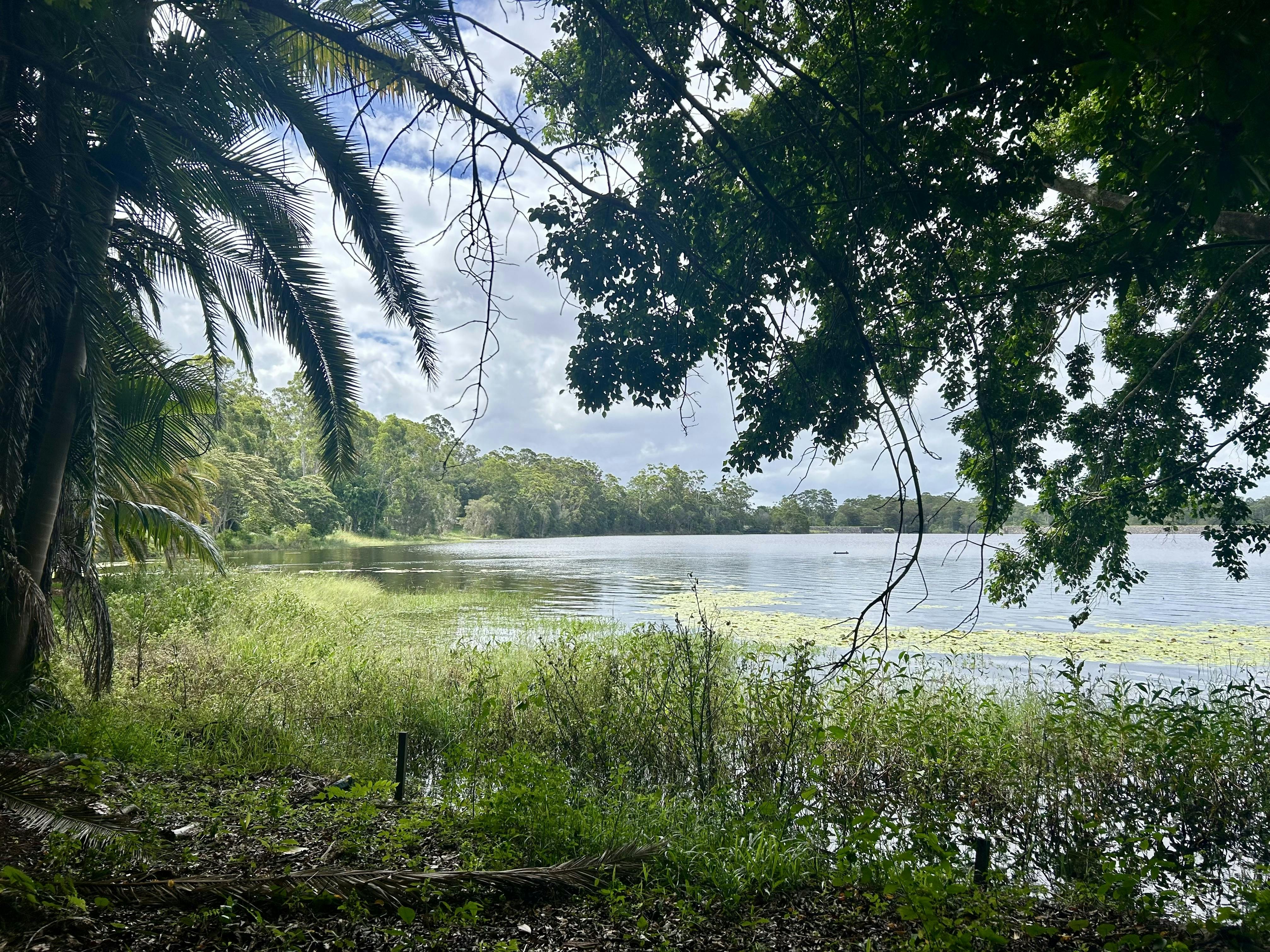 Image of the Lake from the Botanic Gardens