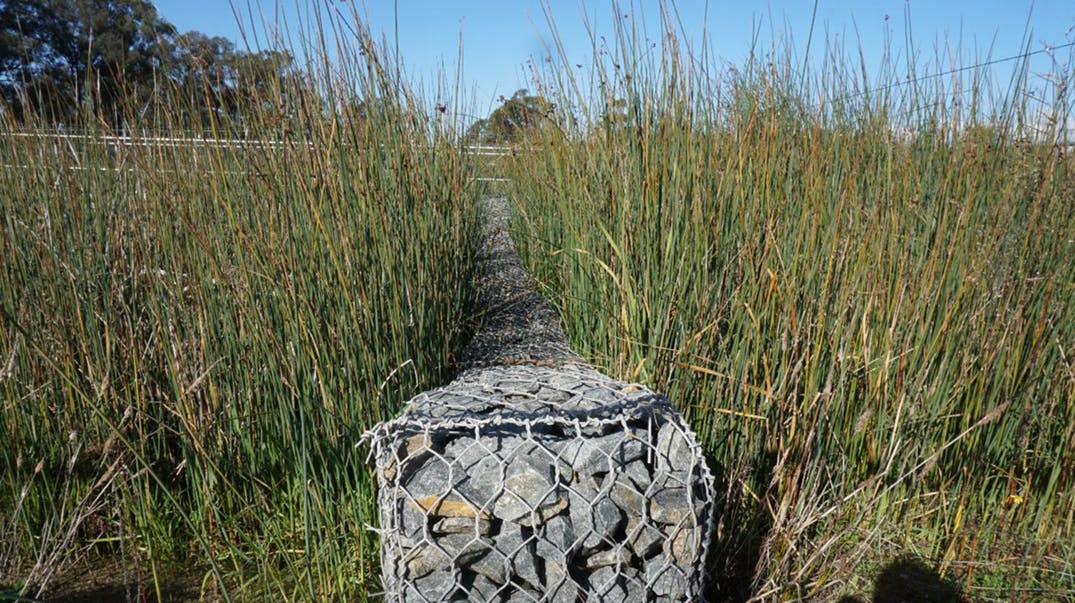 Example of shallow wetlands