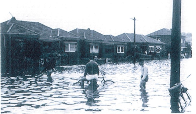 Chapman Avenue. 1959