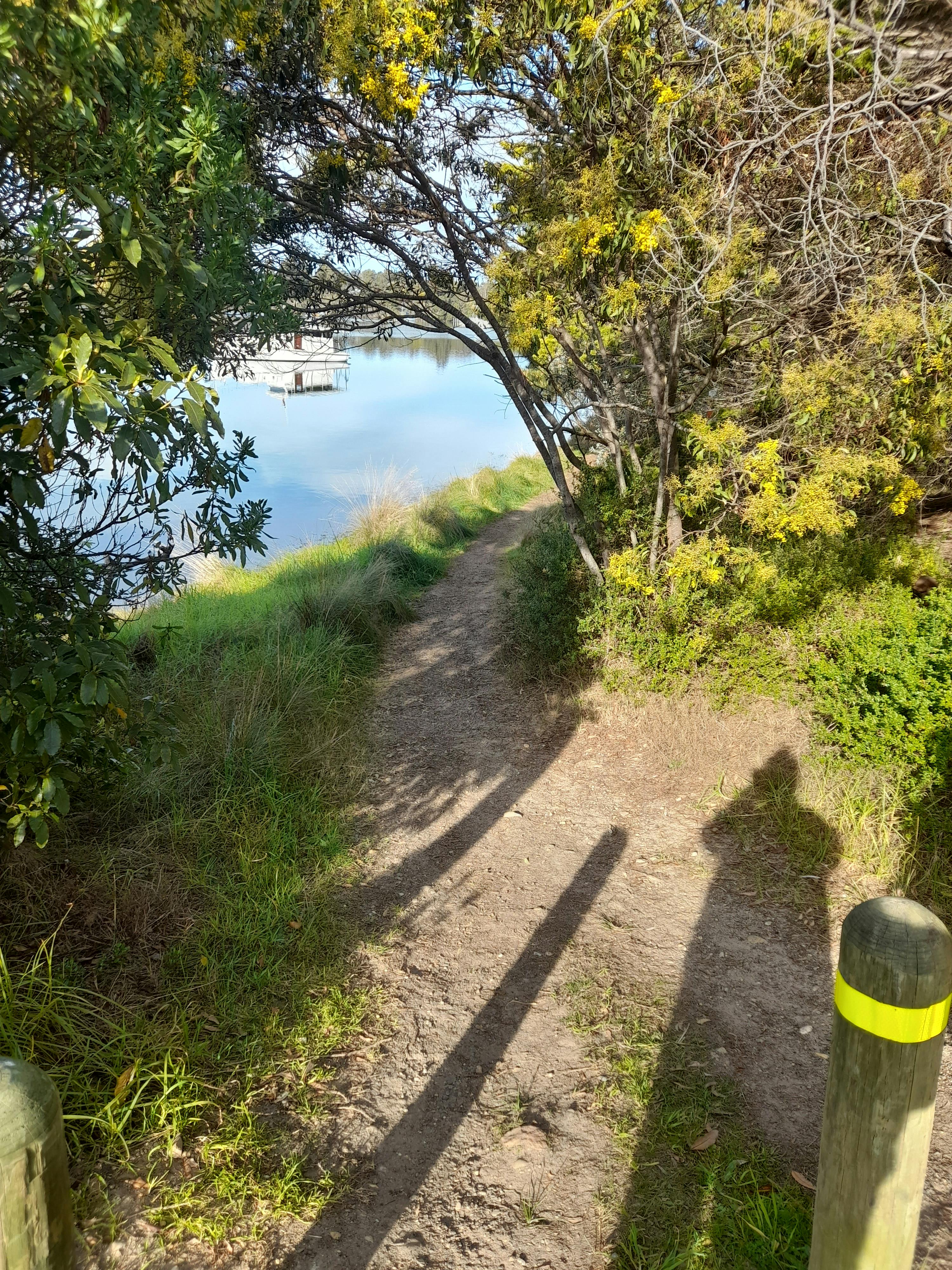 Dinni Birraark site walk on 4 August 2023