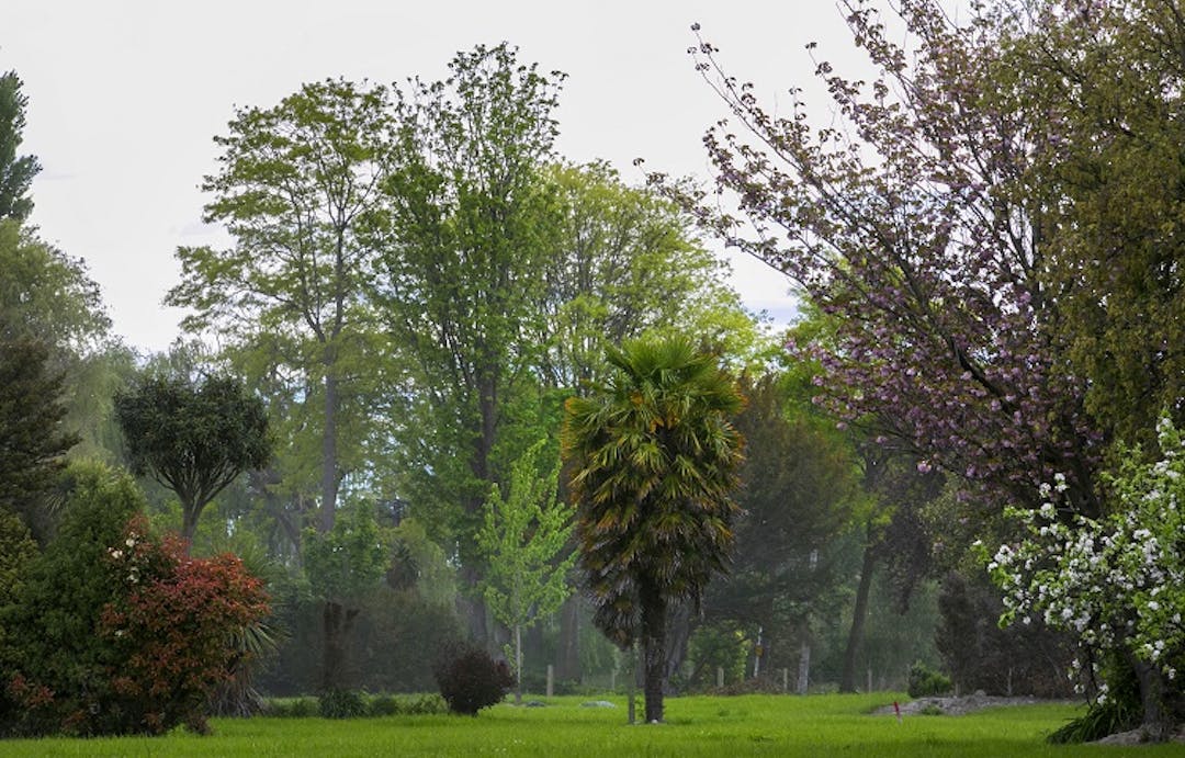 Generic image of parkland in Christchurch