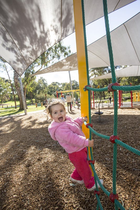 Understanding Our Community