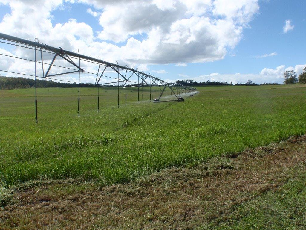 Recycled water for agriculture