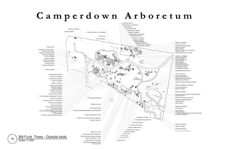 Bill Funk Trees - outside beds