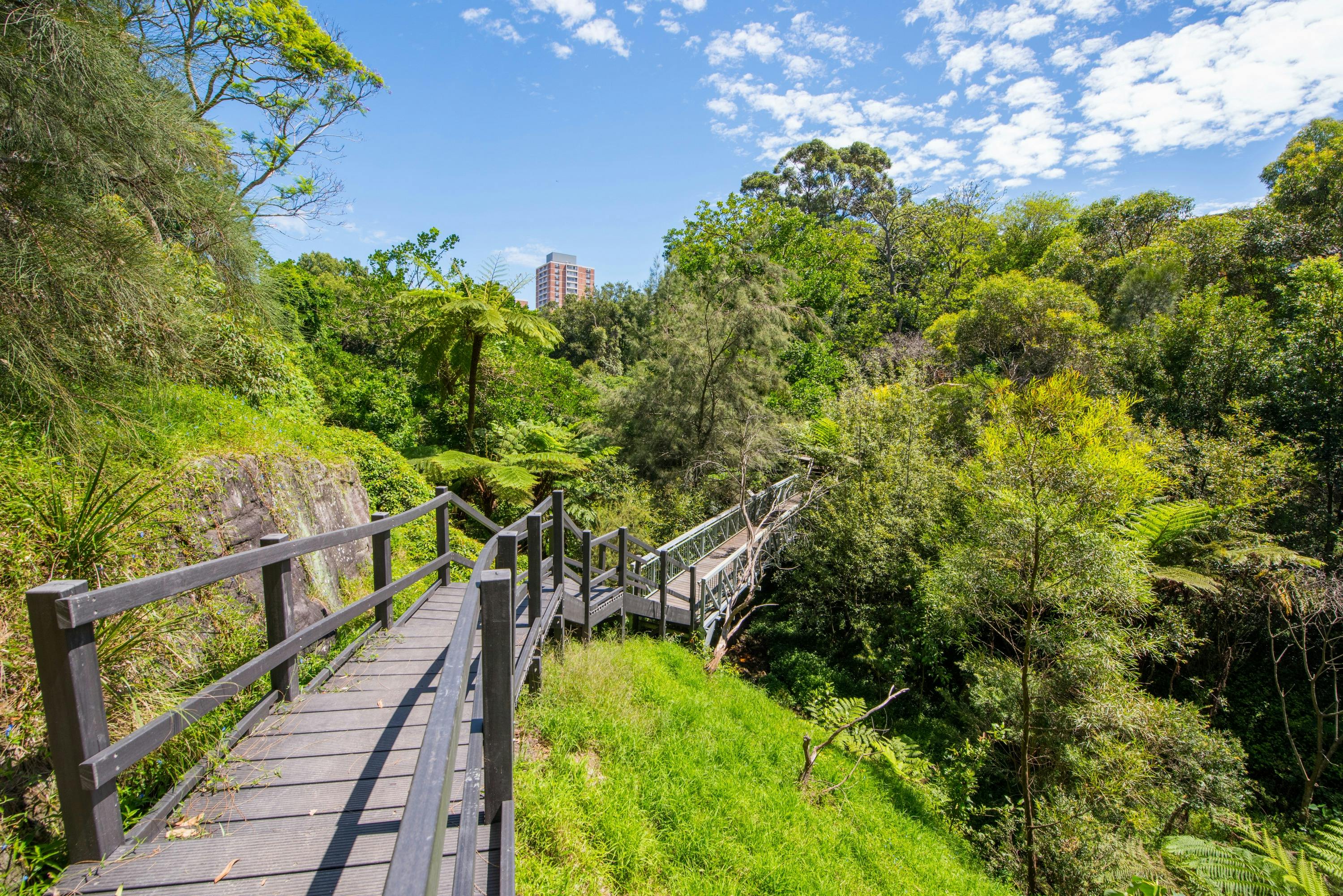 Completion of the boardwalk upgrade at Fred Hollows Reserve, Randwick.