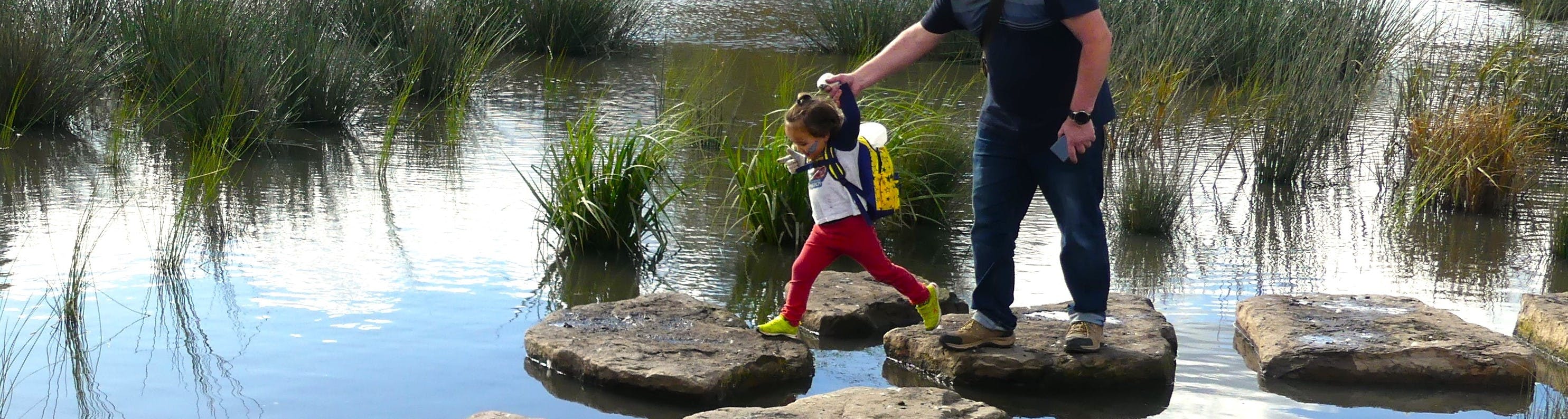 A child and adult holding hands and walking over rocks at Tarralla Creek in Croydon.