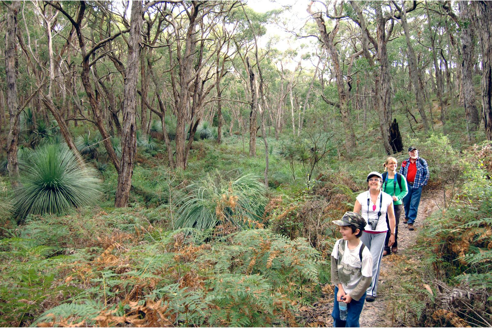 Photos-Deep Creek CP-DEW.png