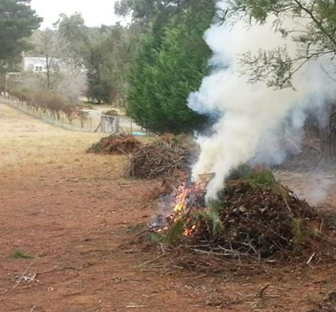 Greenwaste being burnt. Smoke billowing.