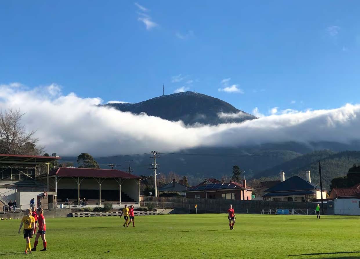 South Hobart Oval Master Plan Your Say Hobart