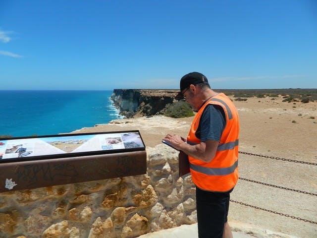 Wayfound at work.jpeg