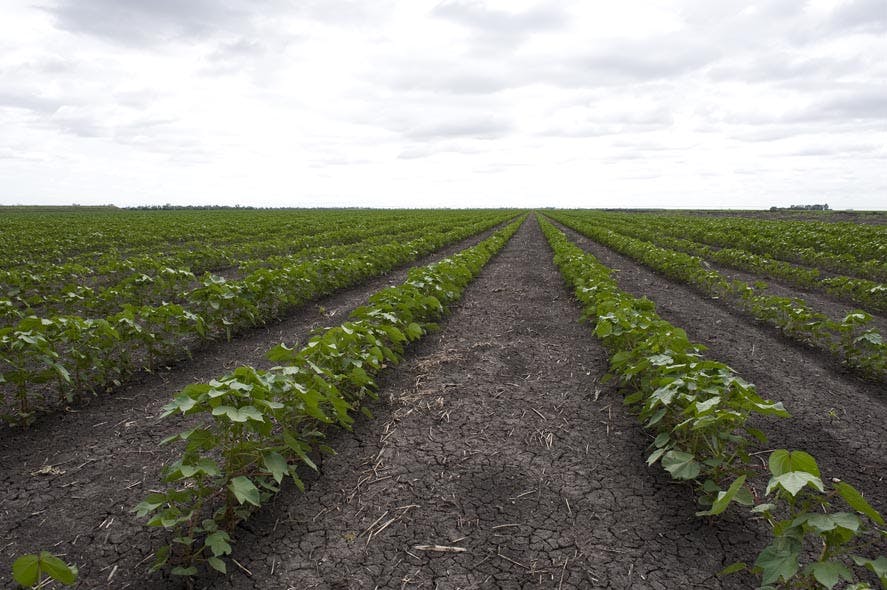 Broad acre farming on the Darling Downs