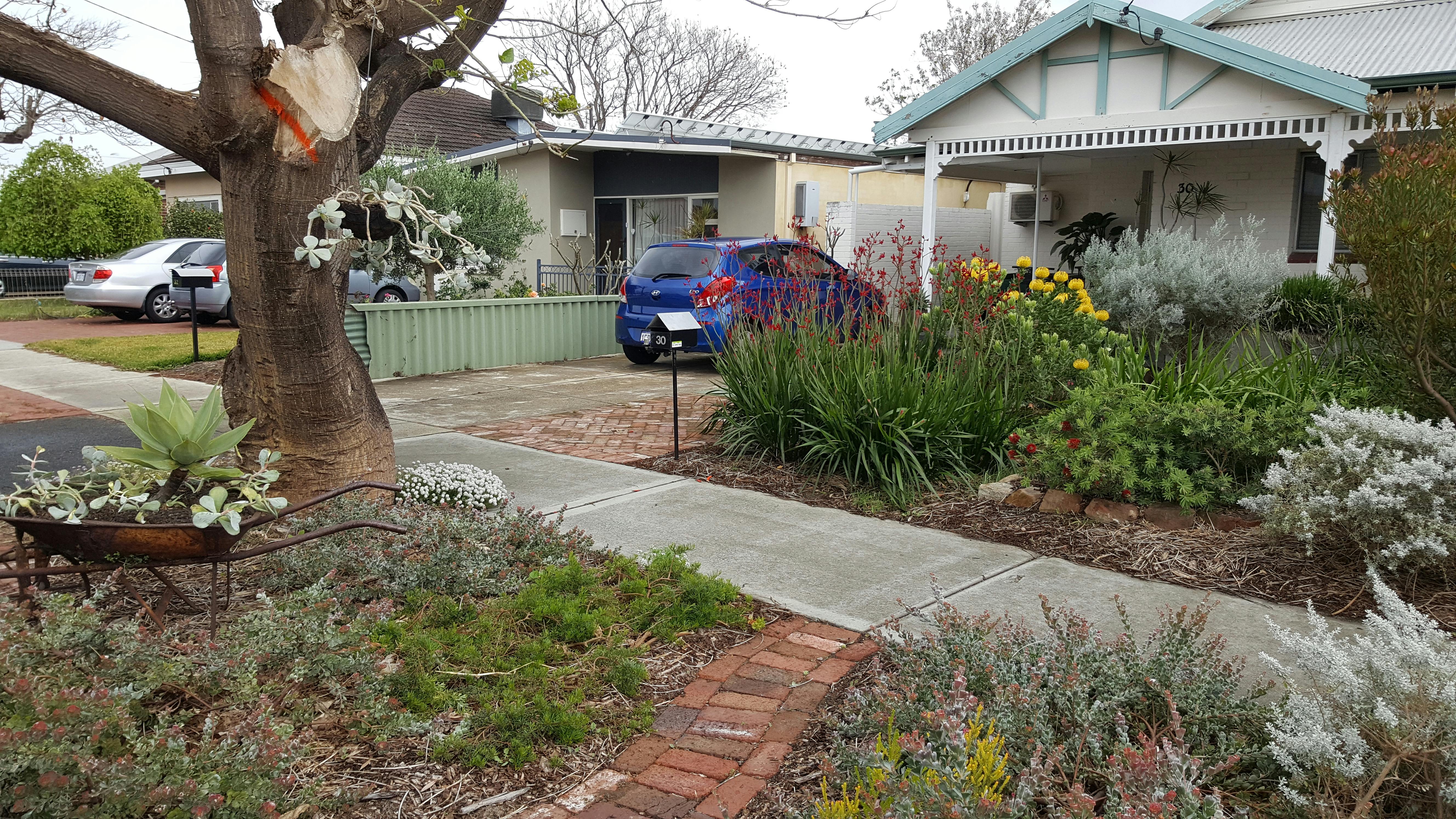 Verge and street tree decorations