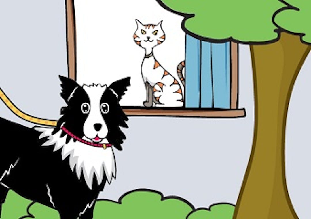 Cat in window and dog on lead
