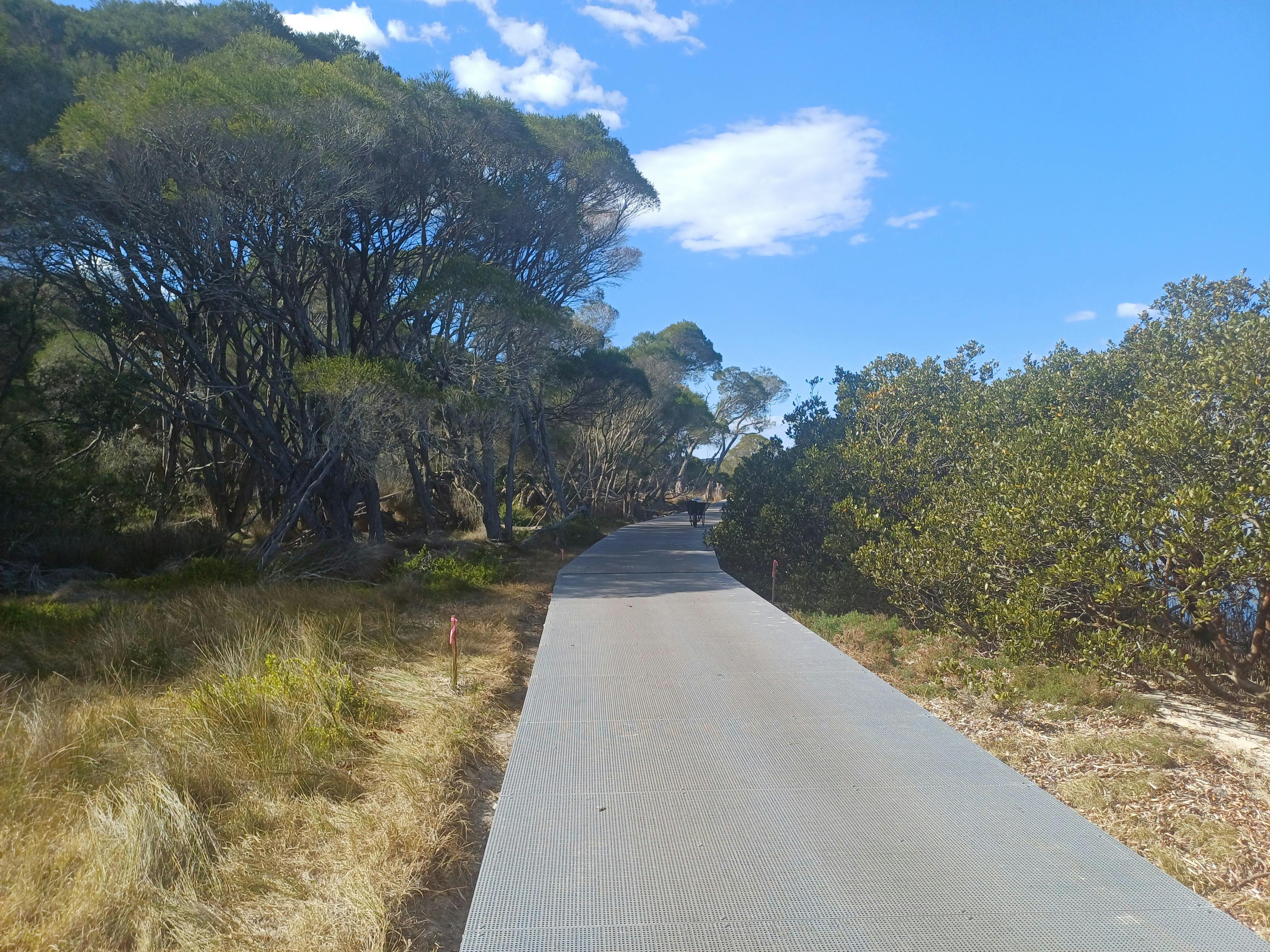 Merimbula Boardwalk construction - September 2026 5.jpg