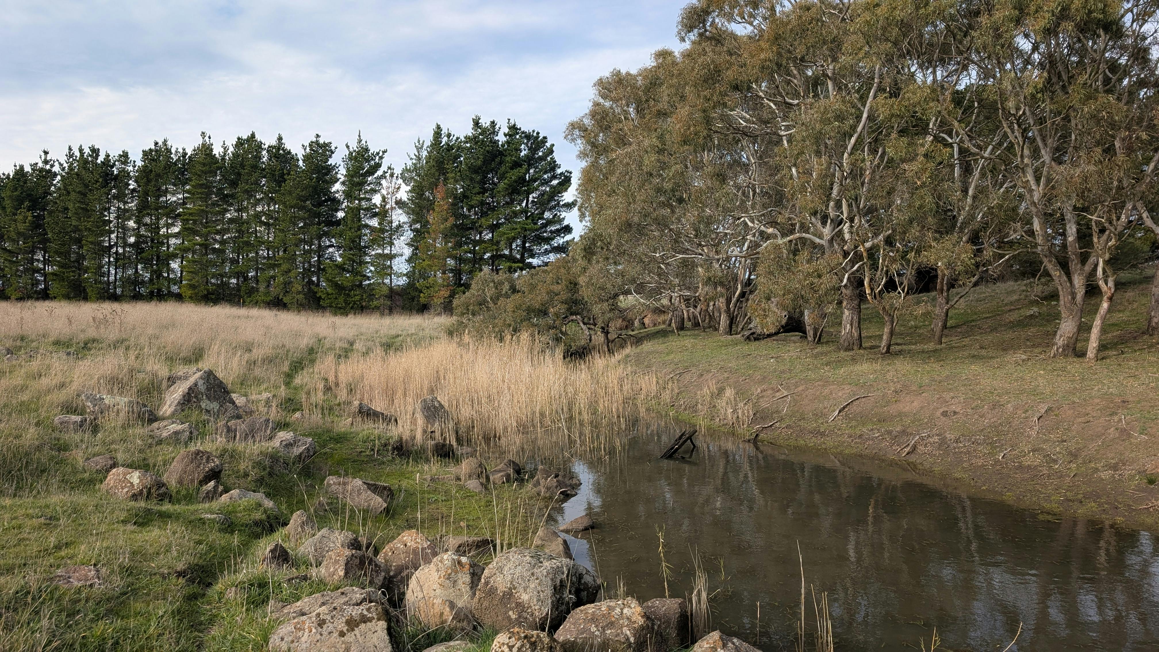 Merri Creek - Rocky creekbed (2).jpg