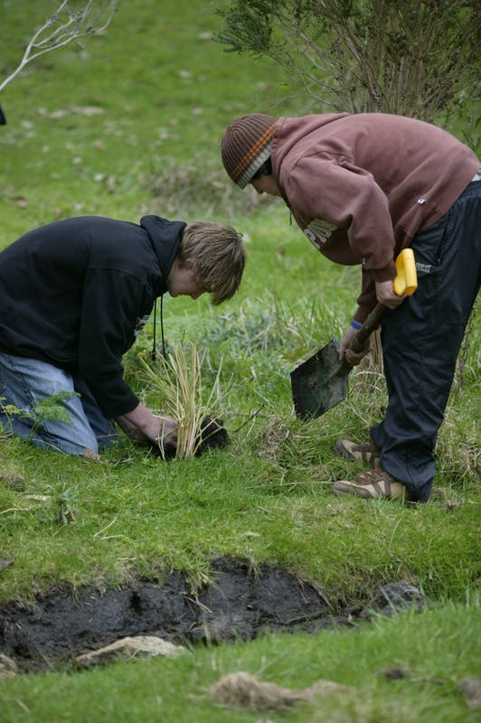 Community Planting Day