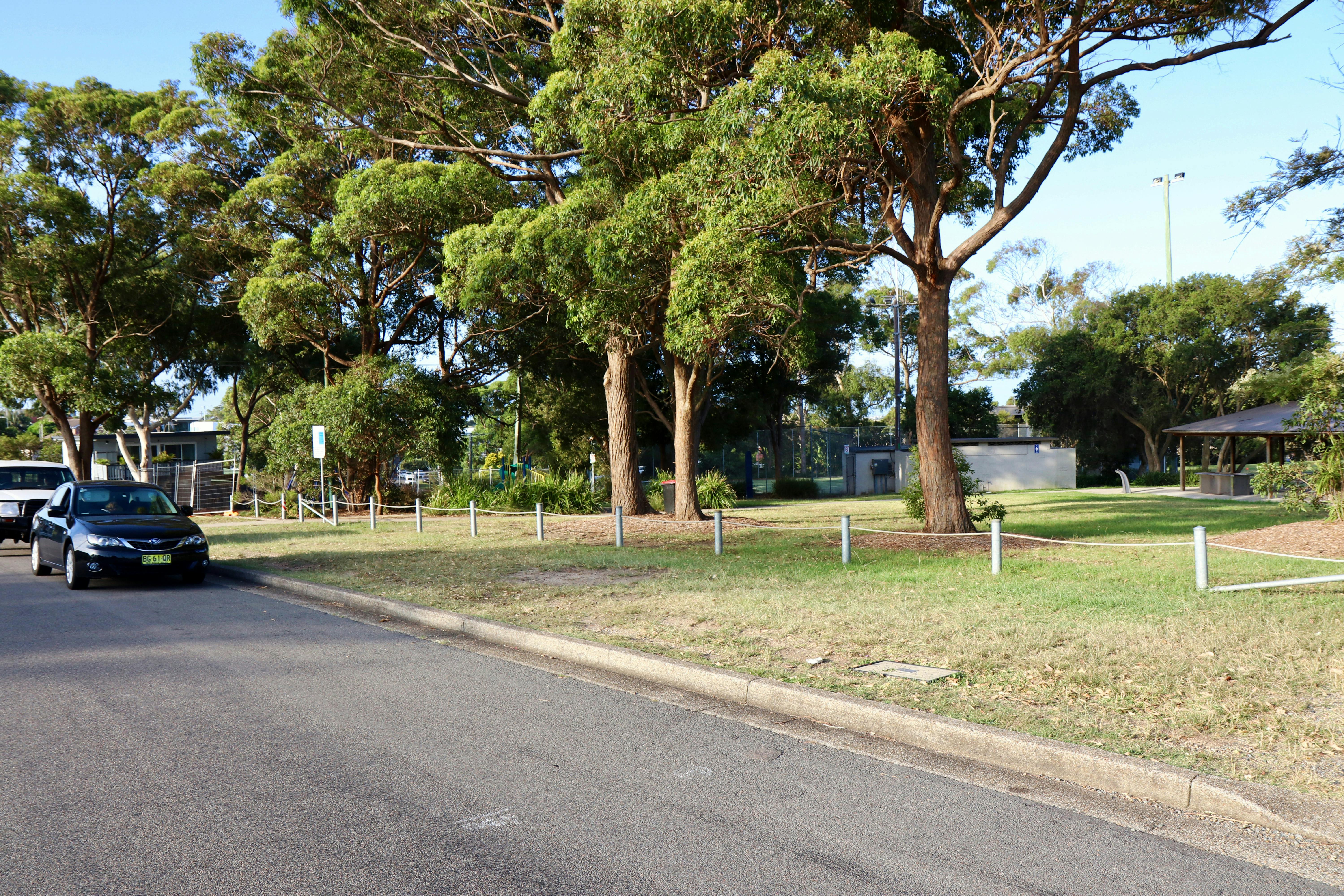 Proposed new stop site in front of Reay Park