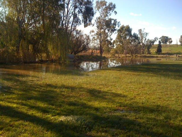 Tarcutta Oval
