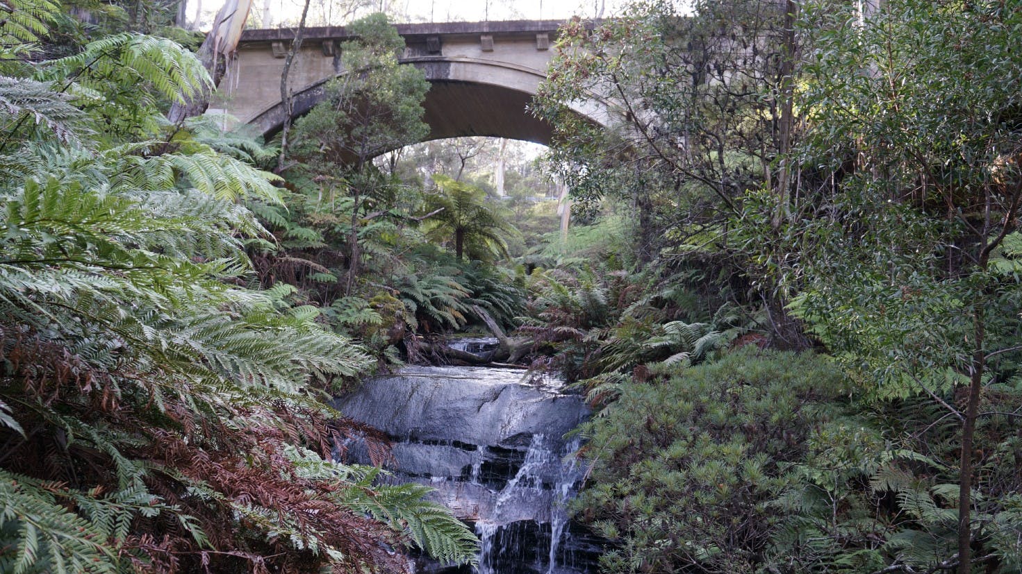 Chelmsford Bridge Leura.jpg