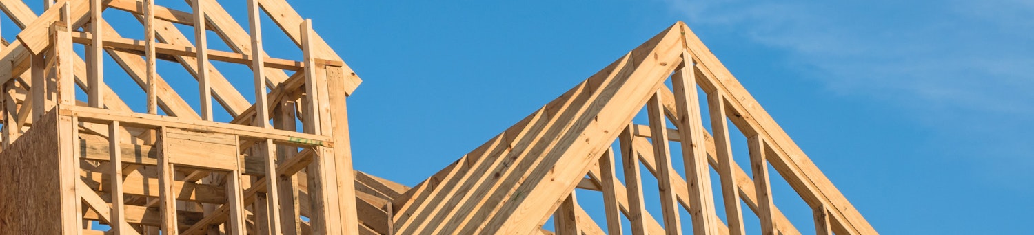 project banner