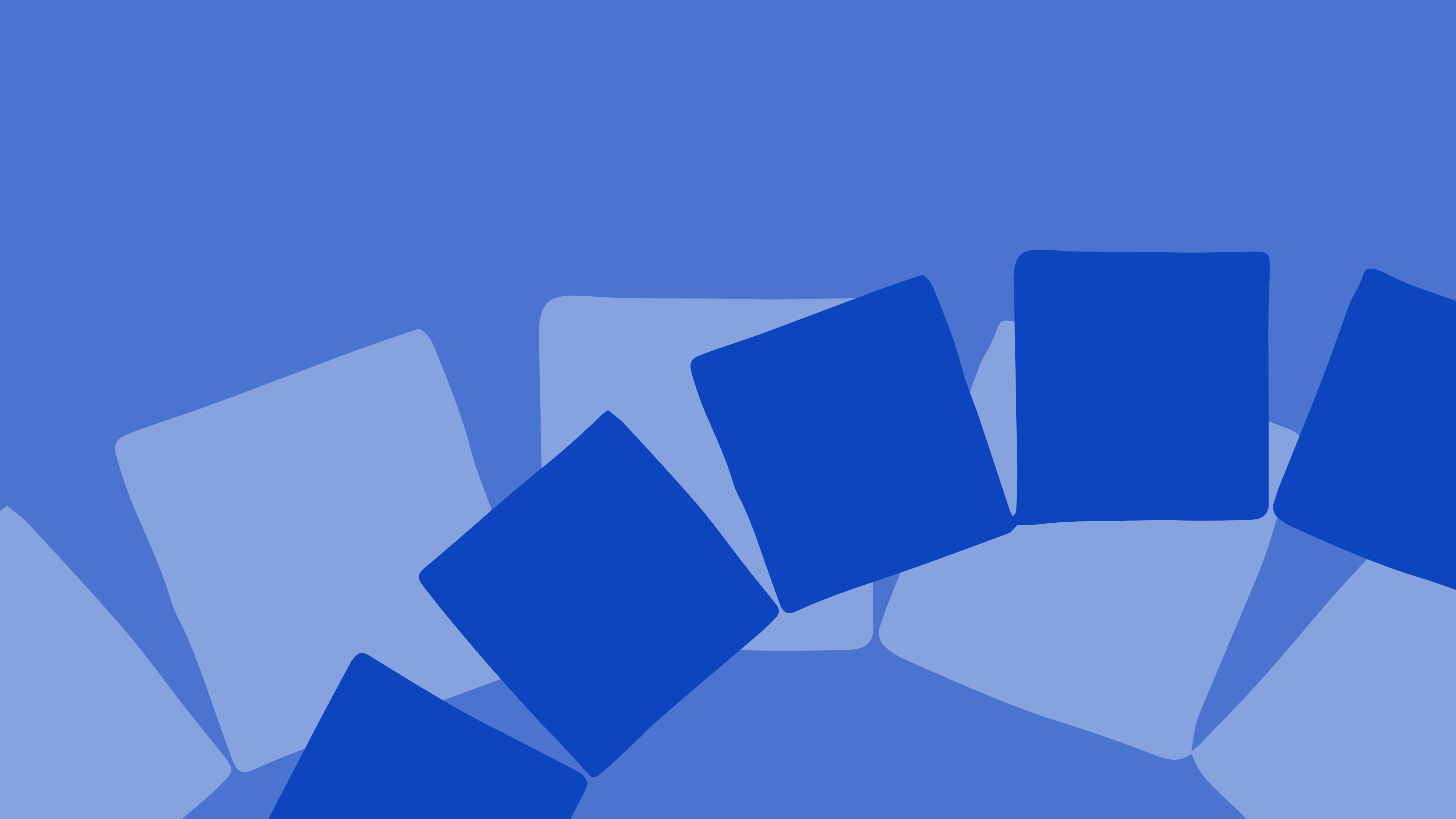 project banner