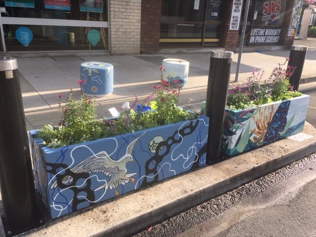 Flowers by Aura Gardens Nursery