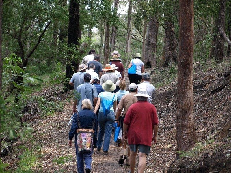 18 Guided Bushwalk Tugun Hill More Gold Coast