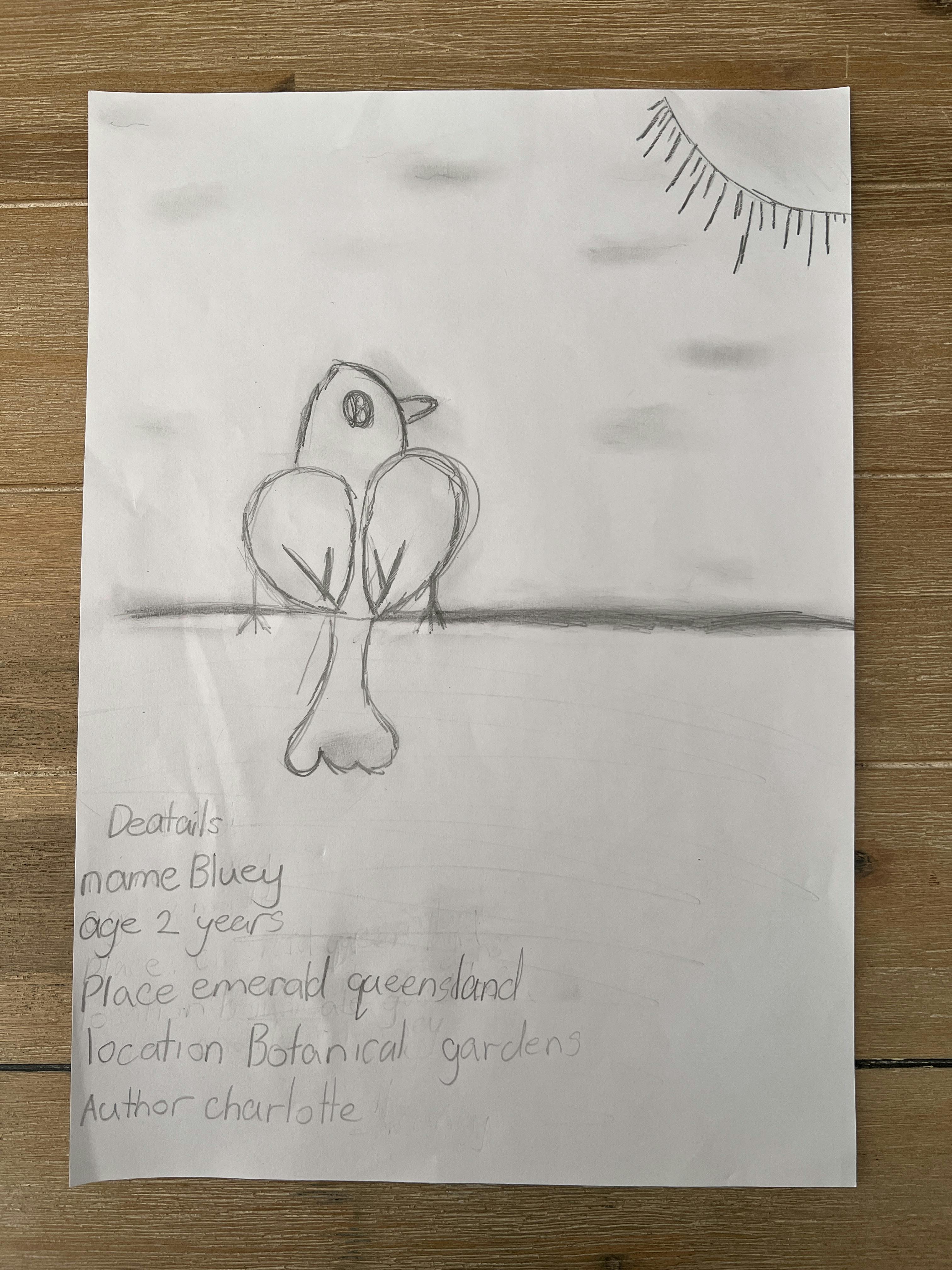 Charlotte Leaney - Bluey