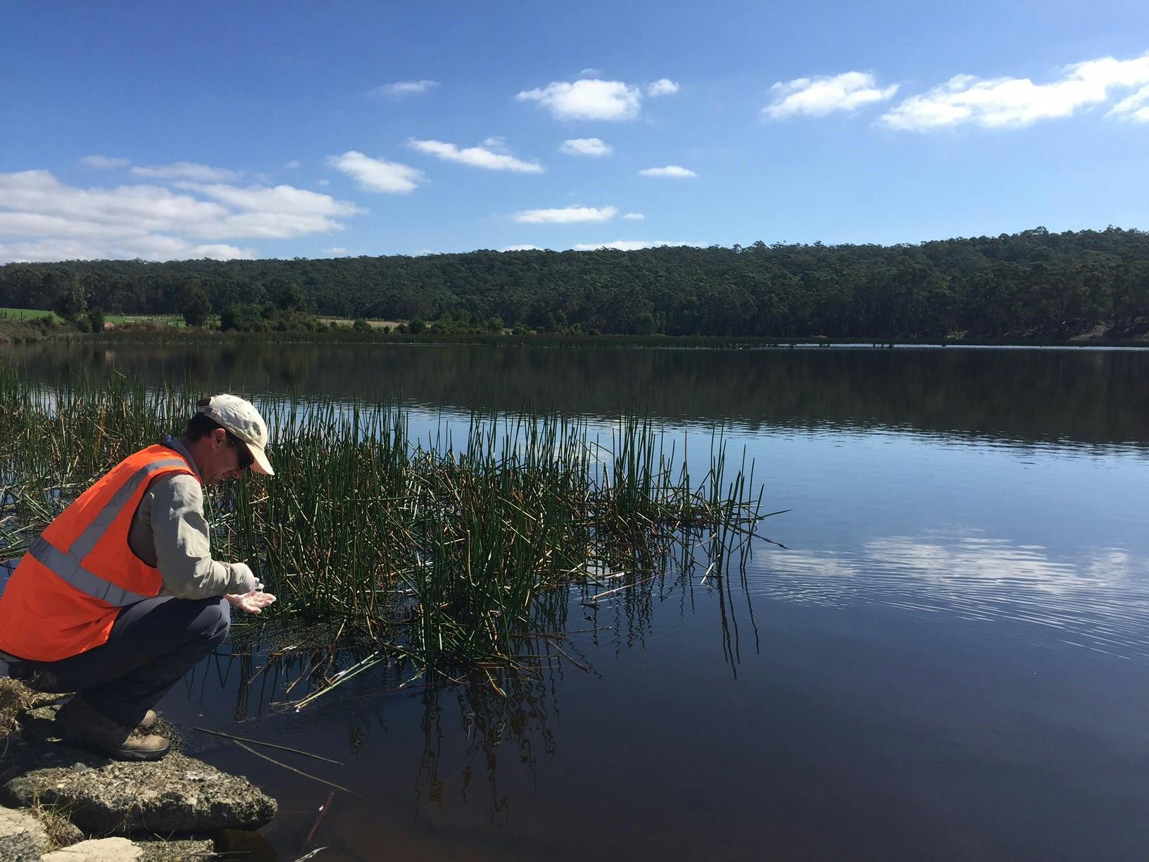 Platypus survey at McDonalds Dam