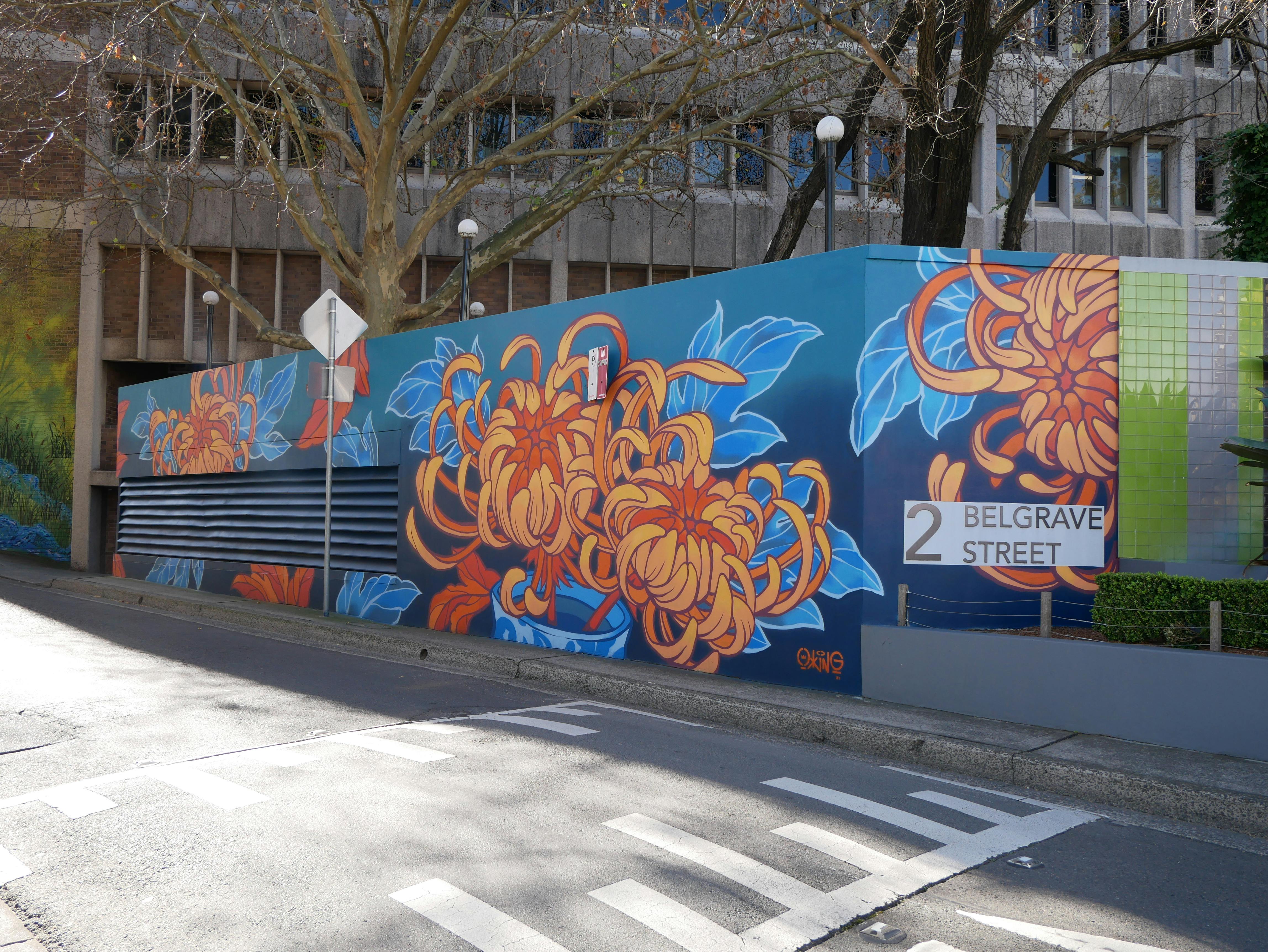 Mural by Ox King in Belgrave Street, Kogarah.