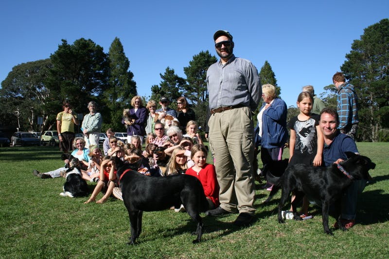 Recreation with dogs at Leura Oval