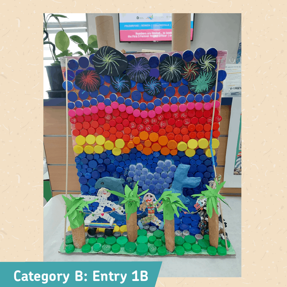 Category B: Entry 1B