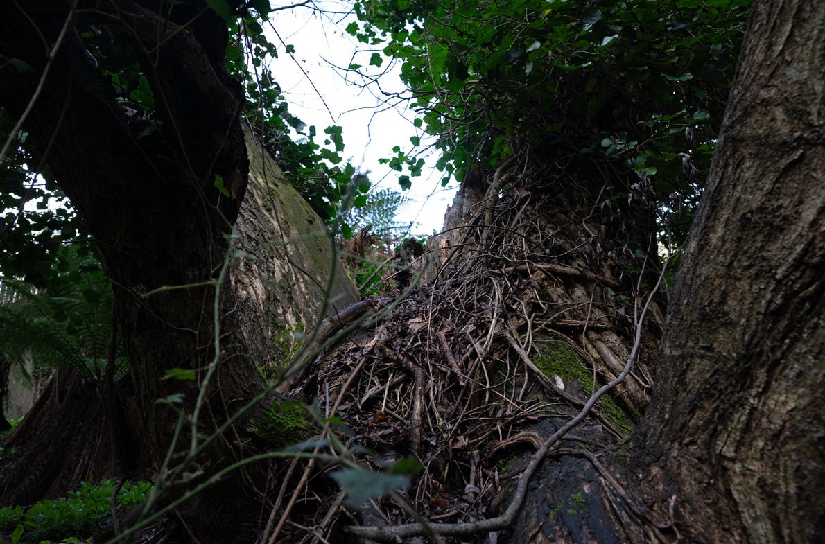 Screenshot 2025-06-20 145253.png