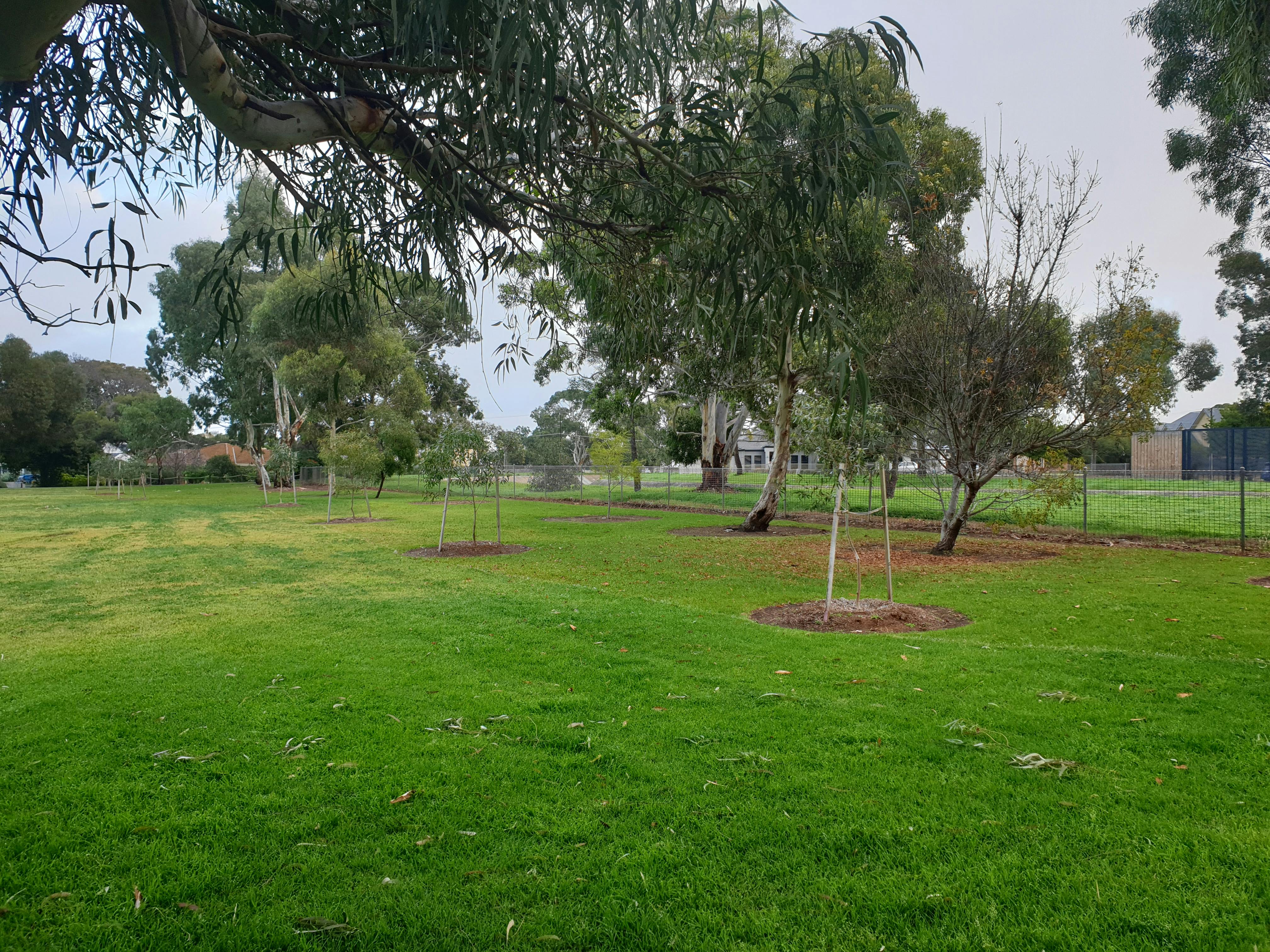 Bob Lewis Reserve before works.