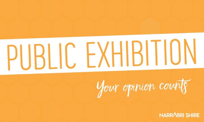 Public Exhibition Banner