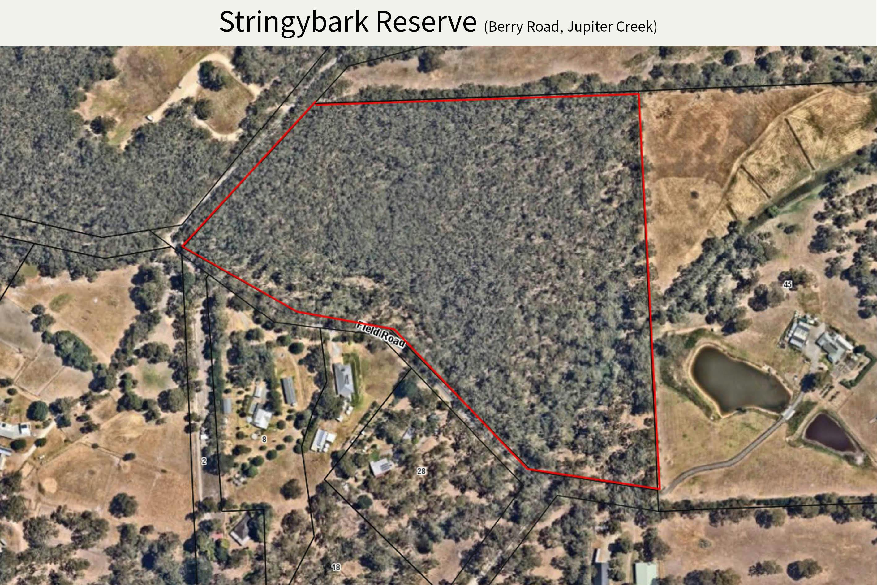Stringybark Reserve for Proposed Heritage Agreement.jpg