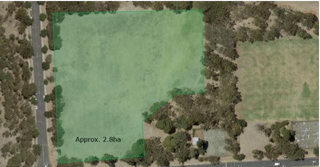 Option.1: Licensed Area – Unimproved Playing Fields