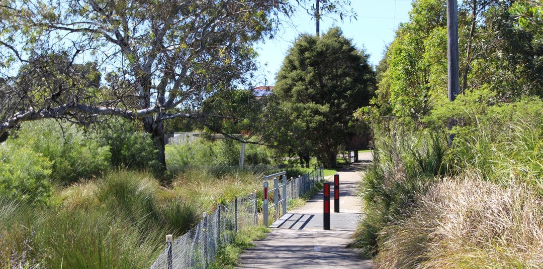 Cooks River Naturalisation