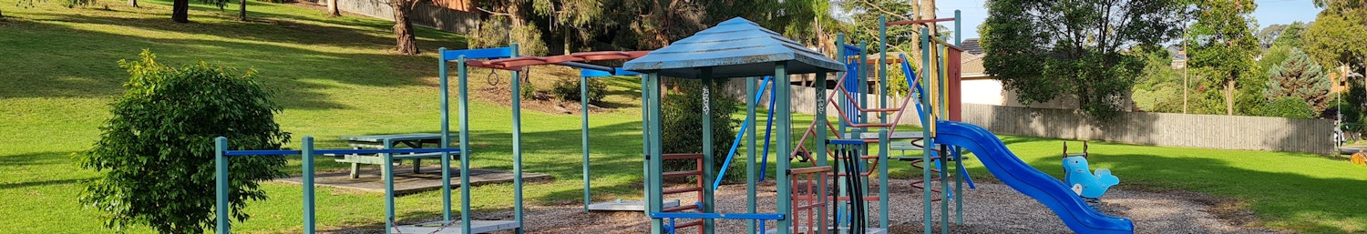 Existing play equipment at Maggs Reserve