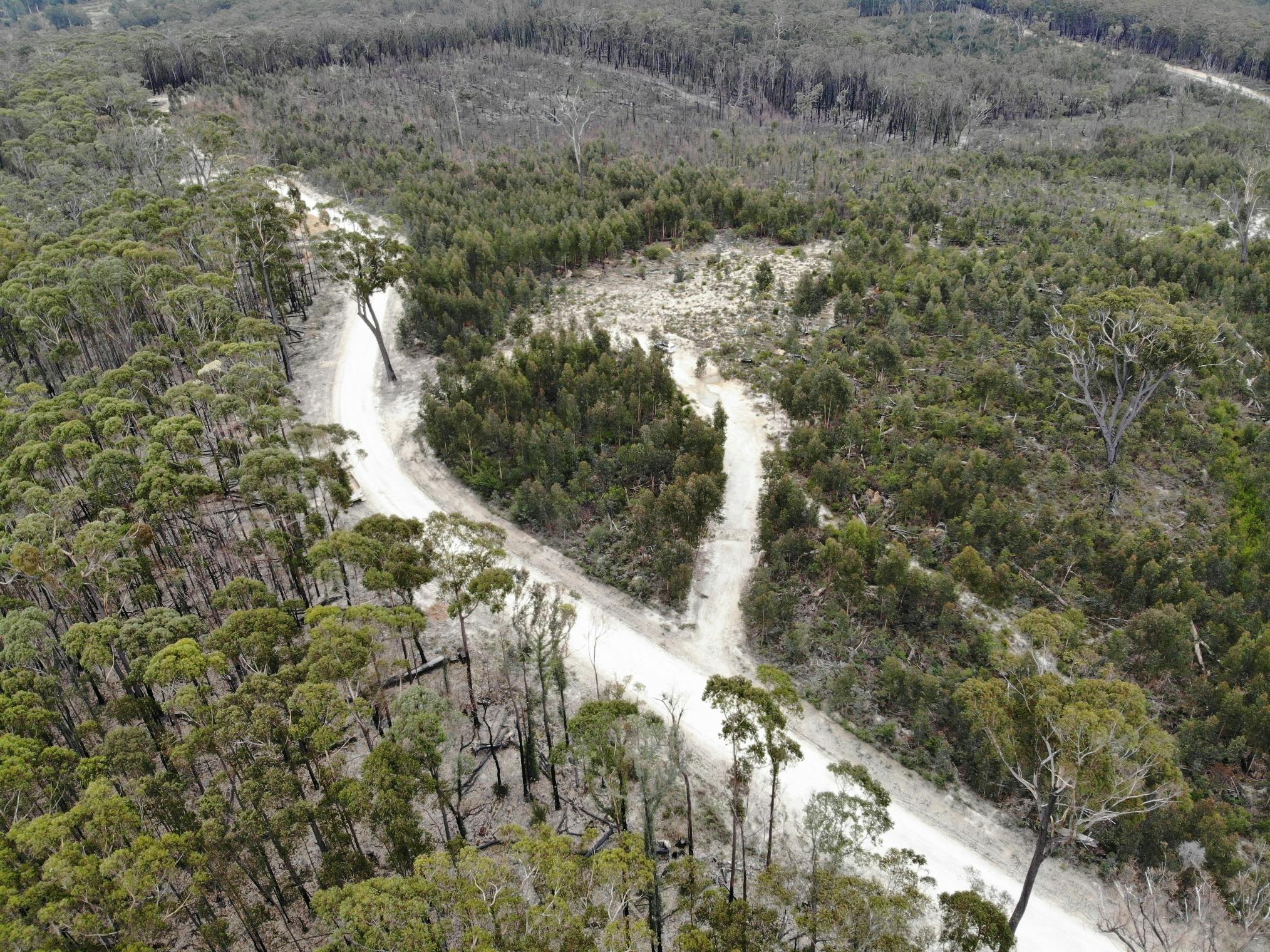 Cann River Transfer1 - proposed site - 15/07/21