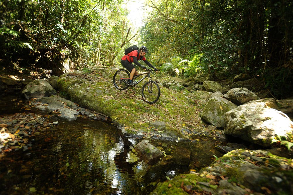 Man mountain biking near creek in Whitsunday rainforest.png