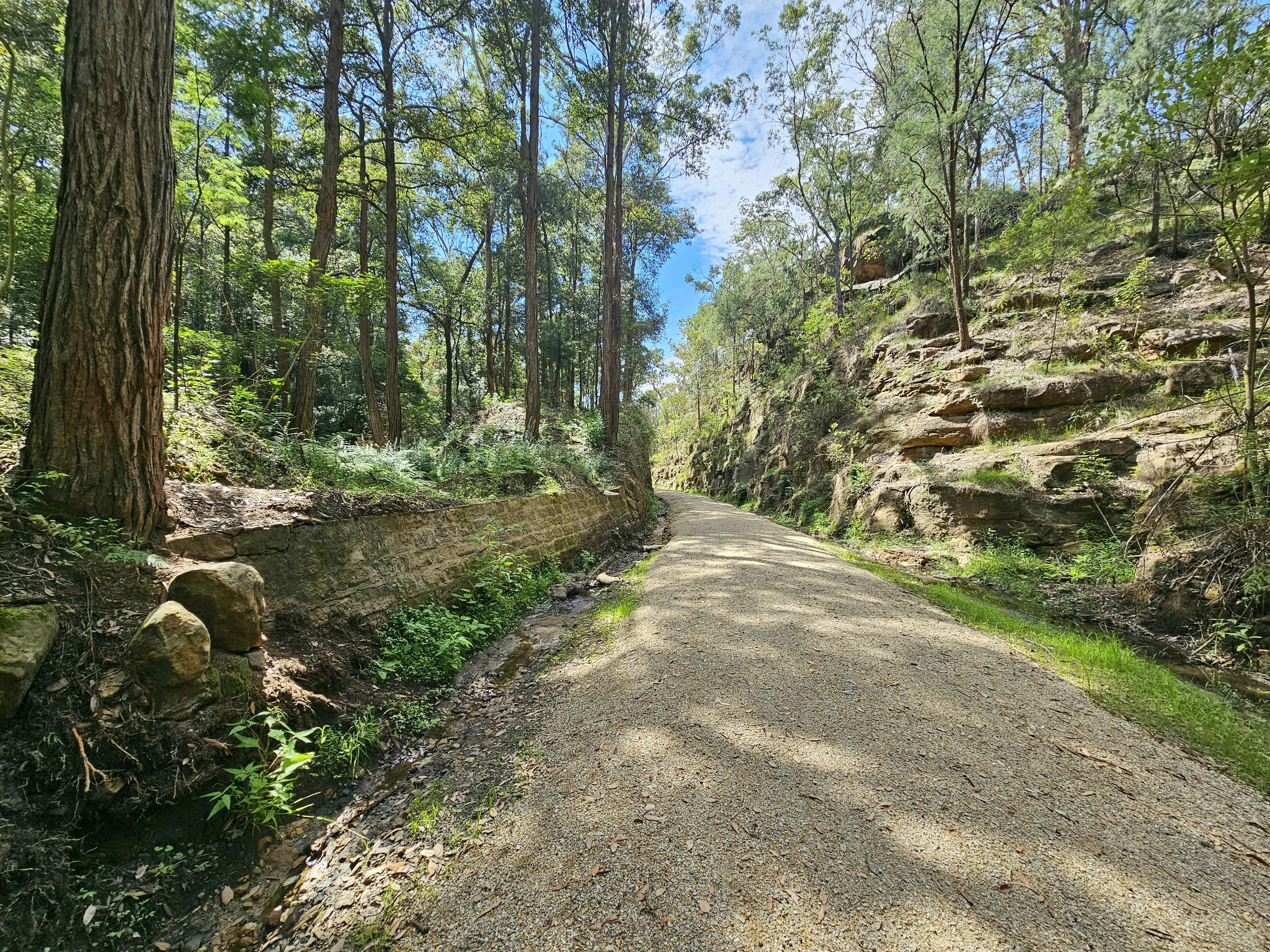 Eastern cutting track remediation work.jpg