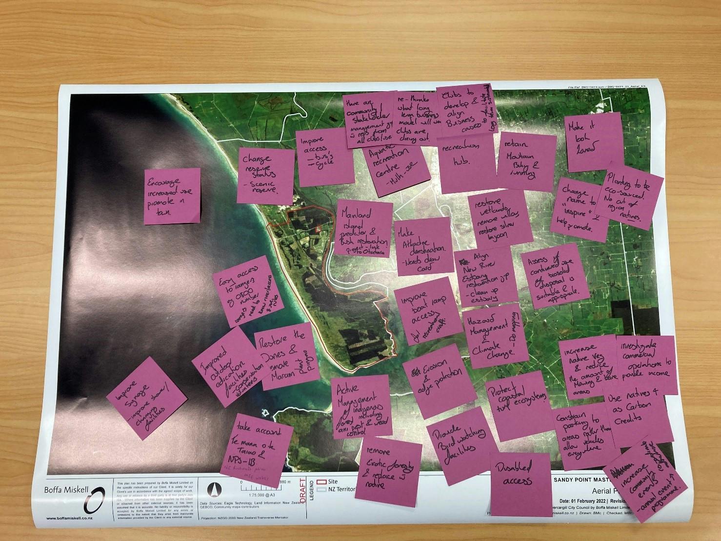 Sandy Point Master Plan Feedback Picture.jpg