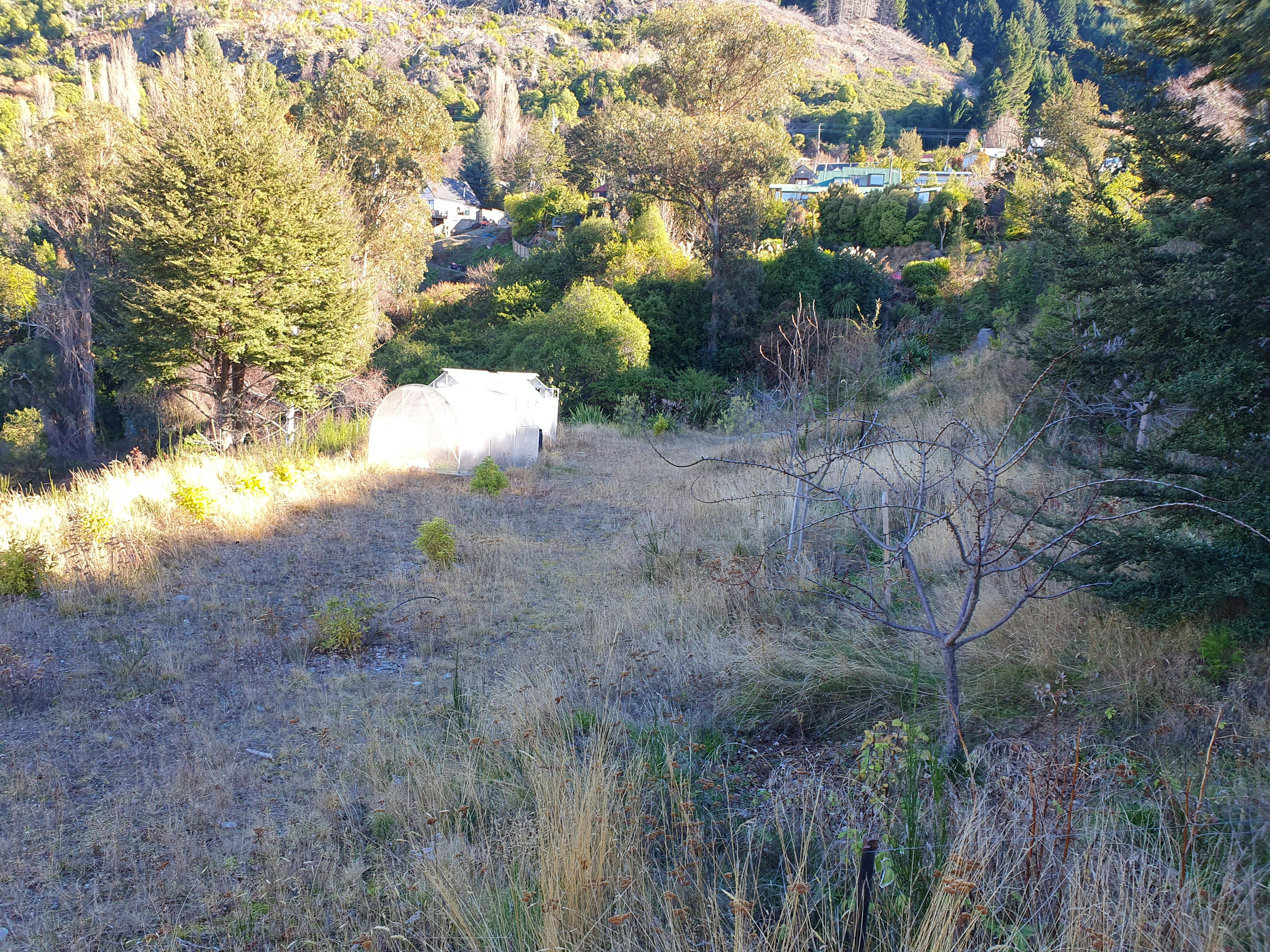Green houses on Sunshine Bay Reserve.