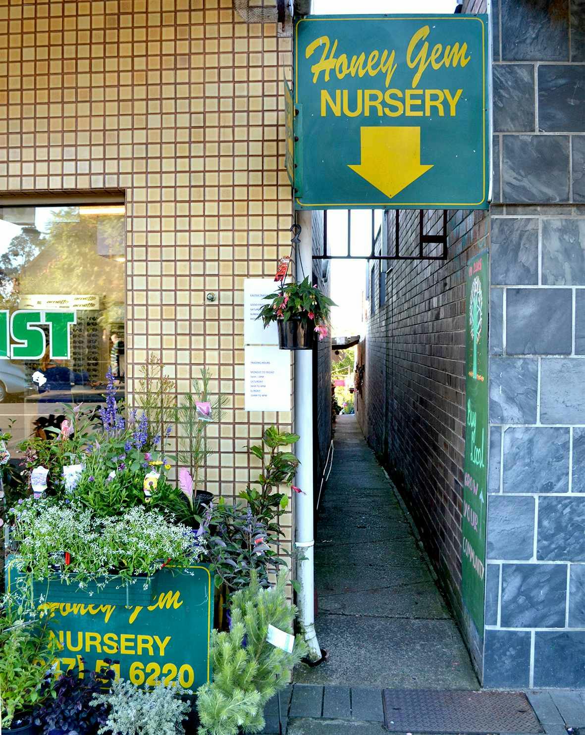 Laneway Nursery Entry, Macquarie Road