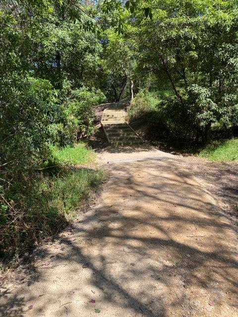 Jemmys Point Reserve to Point Road trail - 8 November 2023